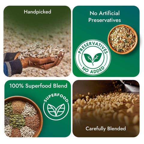 Sabrosia's Seed Mix – 180 Gram(Pack of 3)